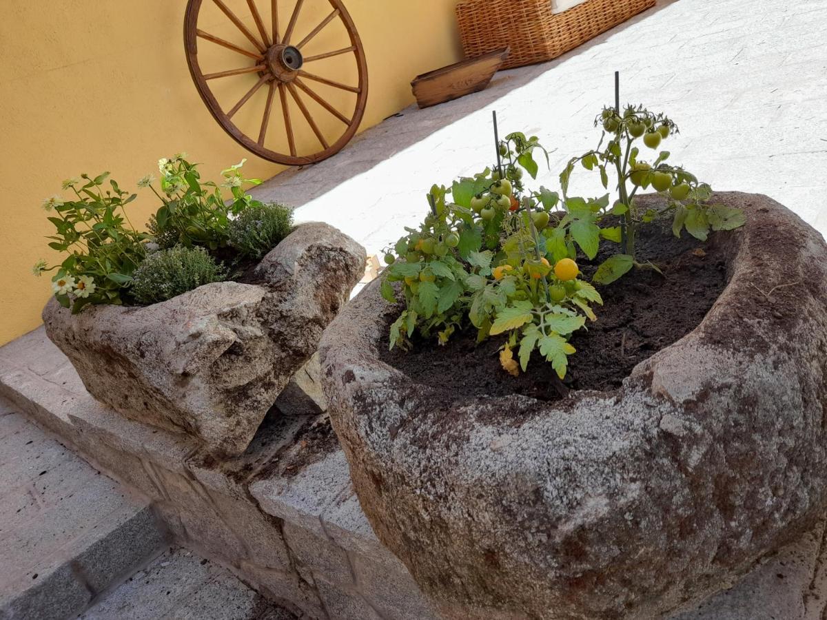 Casa Rural Del Tio Maino Becerril de la Sierra Eksteriør bilde